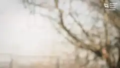 Доверенное 1 сезон 359 серия