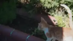 Доверенное 1 сезон 455 серия